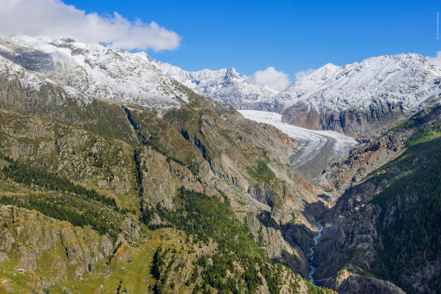 Blick über den Aletsch-Gletscher in der Schweiz mit schneebedeckten Bergen im Hintergrund und grünen Weiidewiesen am linken BIldrand