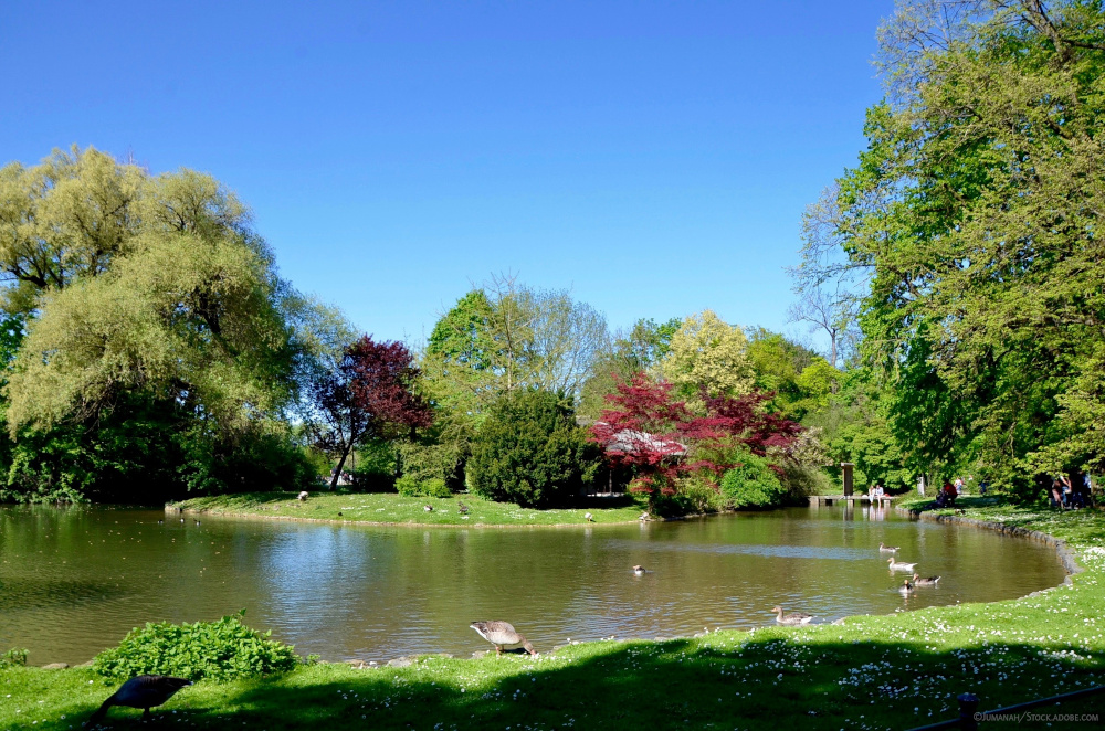Eine Seenlandschaft mit Gänsen im Englischen Garten in München
